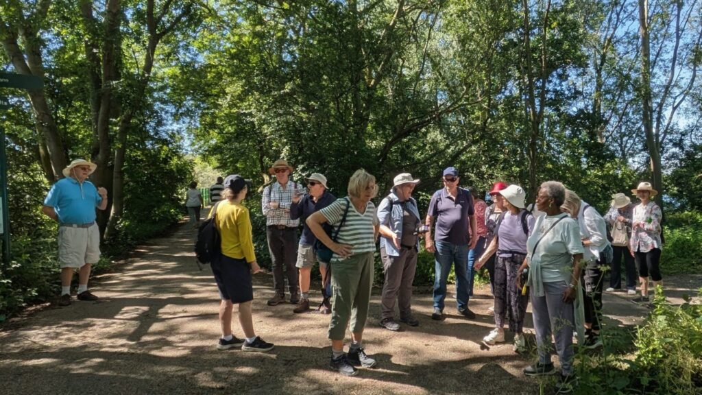 June Walk - Attenborough Nature Reserve.